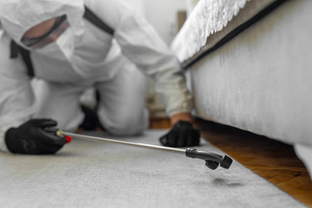 Professional Termite Control technician working in Albany, WI