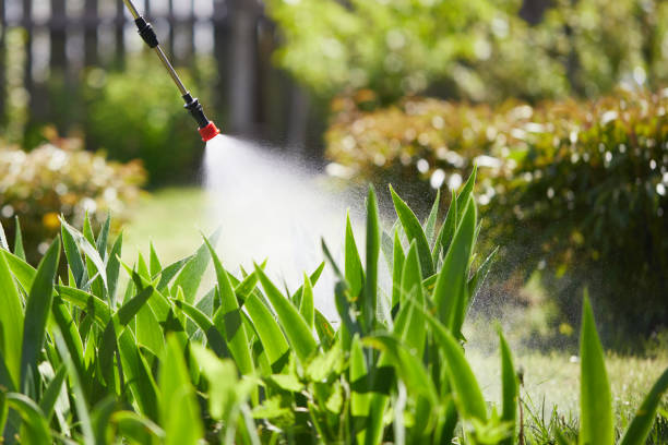 24/7 Emergency Termite Control experts in Albany, WI